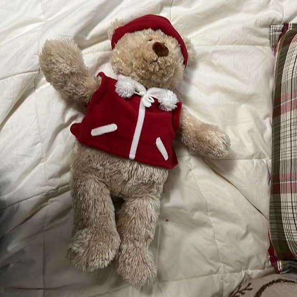 Office Depot Gund Teddy B Caring Bear Plush
Stuffed Animal 16" Red Vest & Hat - Picture 3 of 12